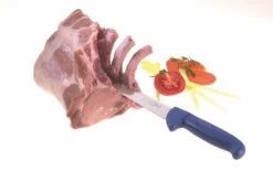 Dick Ergogrip 6-piece Butcher Professional Knife Set 5 Dick Ergogrip 6-piece Butcher Professional Knife Set -CHEF KNIVES Store dick ergogrip 6 piece butcher professional knife set 1